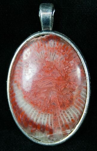 Fossil Red Horn Coral Pendant - Utah #14873